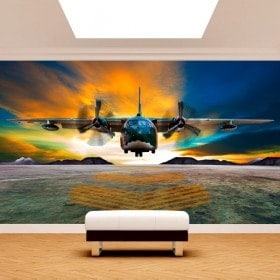 Peintures murales Photo avion atterrissage