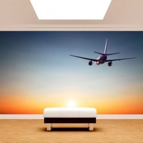 Peintures murales Photo avion coucher de soleil