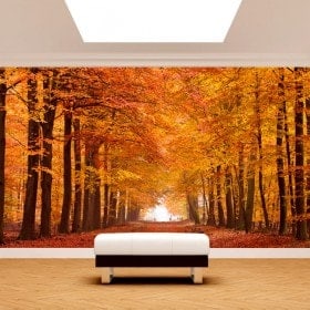 Photo mur murales route et arbres automne