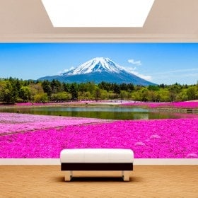 Photo mur murales fleurs Roses jardins Mont Fuji