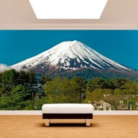 Peintures murales Mt.Fuji Photo