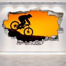 Mountain bike vinyl 3D