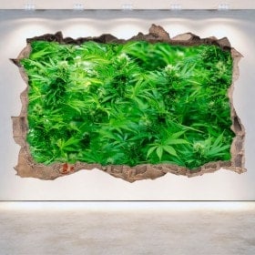 Marijuana mur brisé de vinyle 3D