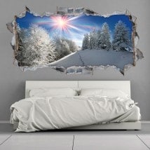 Rayons de soleil vinyle 3D montagnes neigeuses