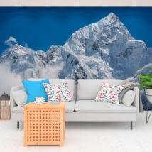 Peintures murales vinyle mont everest