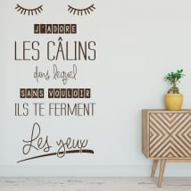 Vinyls phrases francaises j'aime les calins