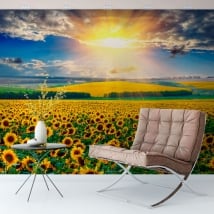 Peintures murales coucher de soleil champ de tournesols