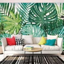 Photos murales vinyles les murs nature tropicale