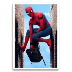 Affiches papier photographique homme araignée